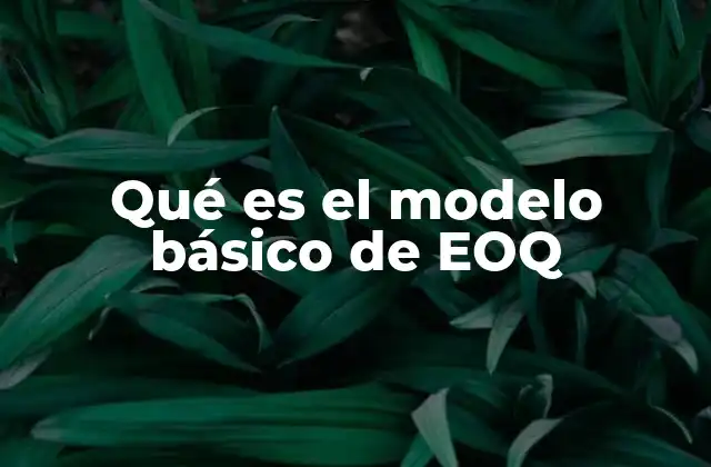 Qué es el Modelo Básico de Eoq