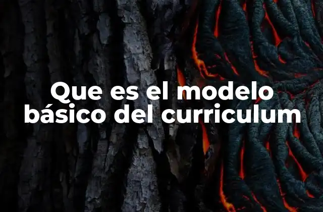 Que es el Modelo Básico Del Curriculum