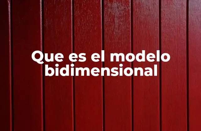Que es el Modelo Bidimensional