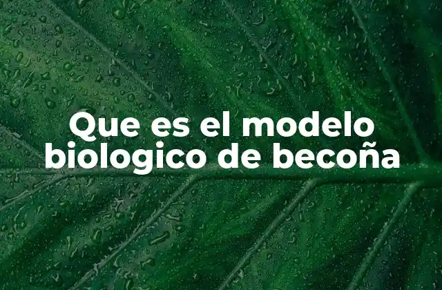 Que es el Modelo Biologico de Becoña