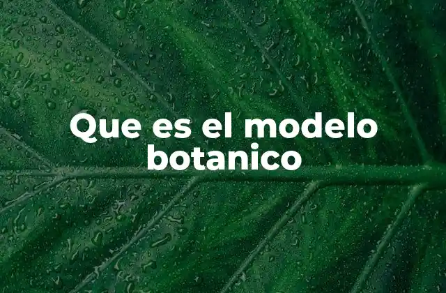 Que es el Modelo Botanico