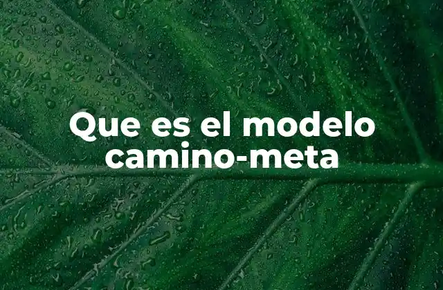 El enfoque dual: metas y caminos en acción