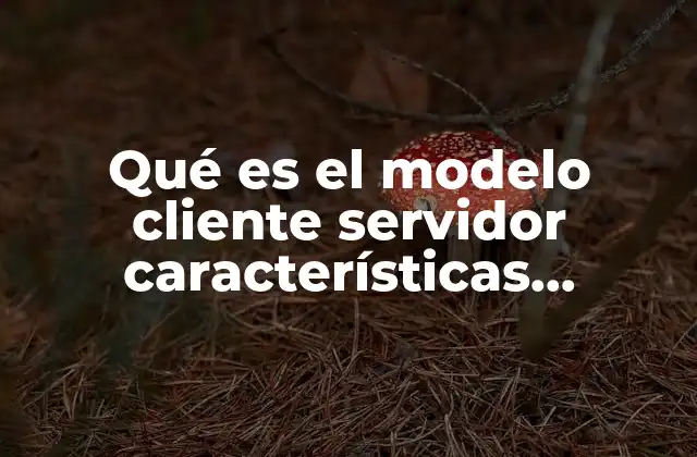 Qué es el Modelo Cliente Servidor Características Ventajas y Desventajas