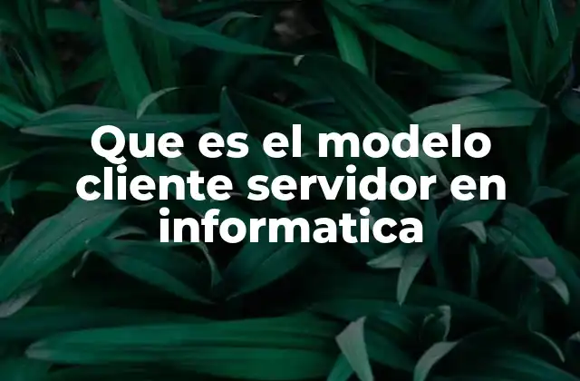 Que es el Modelo Cliente Servidor en Informatica