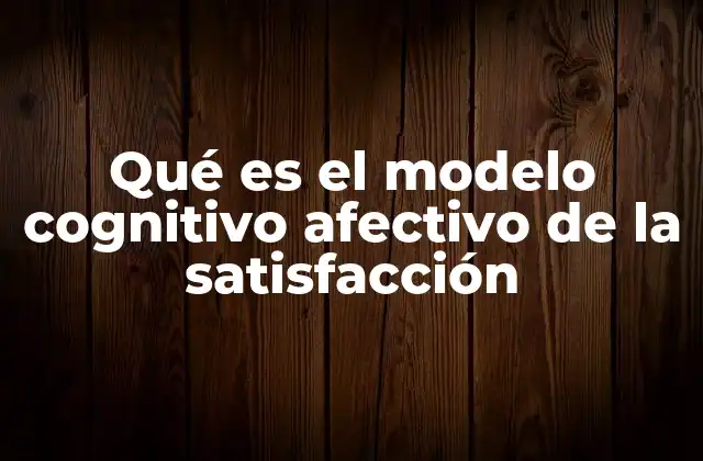 Qué es el Modelo Cognitivo Afectivo de la Satisfacción