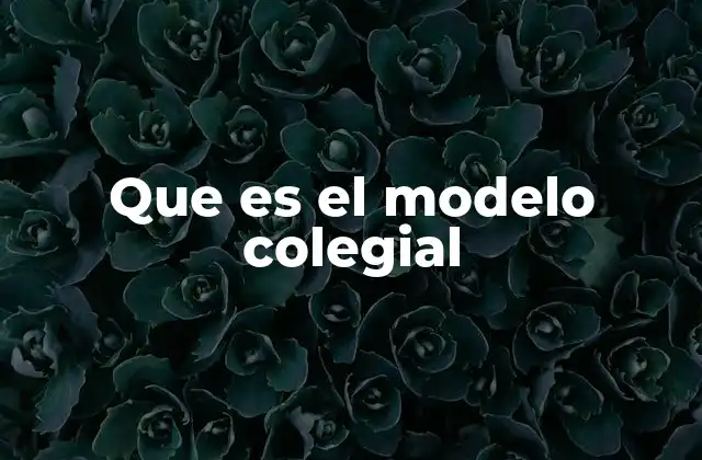 Que es el Modelo Colegial