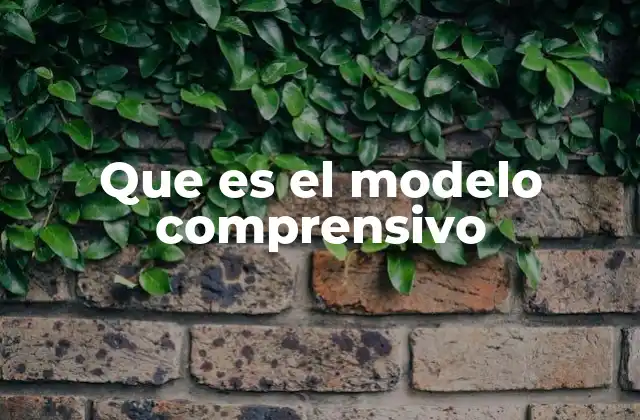 Que es el Modelo Comprensivo