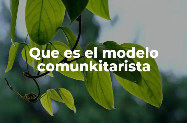 Que es el Modelo Comunkitarista 2 El modelo comunkitarista como forma de resistencia y esperanza