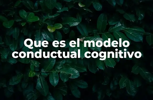 Que es el Modelo Conductual Cognitivo