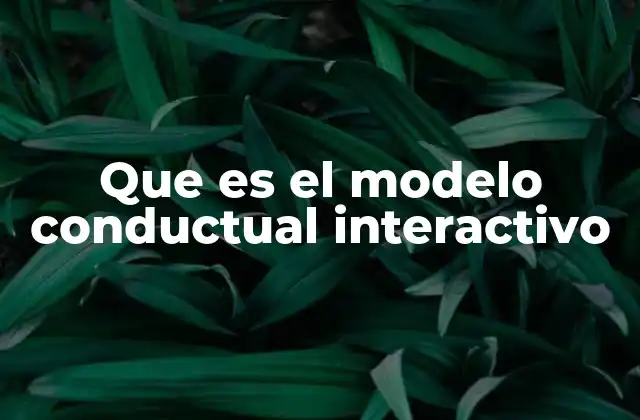 Que es el Modelo Conductual Interactivo