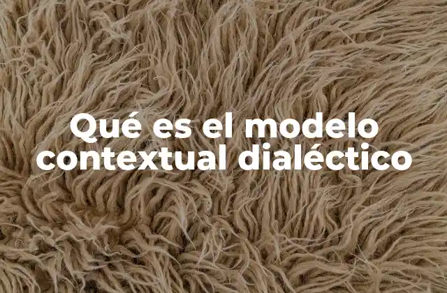 Qué es el Modelo Contextual Dialéctico