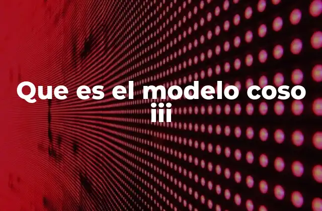 Que es el Modelo Coso Iii