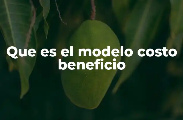 Que es el Modelo Costo Beneficio