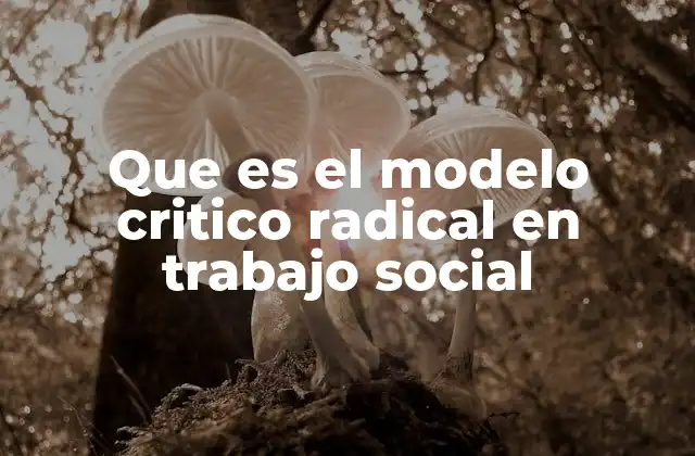 Que es el Modelo Critico Radical en Trabajo Social 2 La evolución del pensamiento crítico en el trabajo social