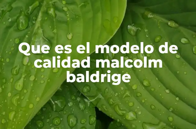 Que es el Modelo de Calidad Malcolm Baldrige