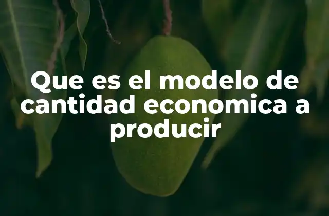 Que es el Modelo de Cantidad Economica a Producir