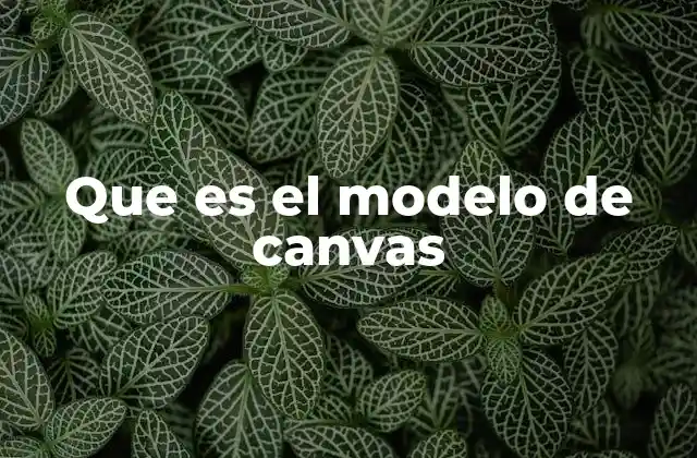 Que es el Modelo de Canvas