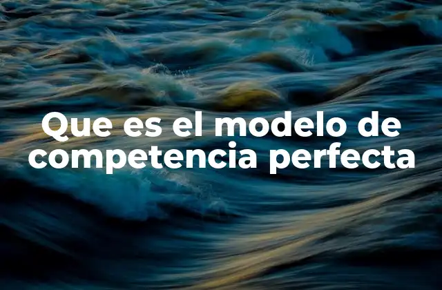 Que es el Modelo de Competencia Perfecta