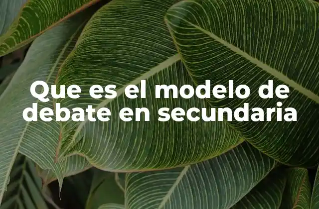 Que es el Modelo de Debate en Secundaria