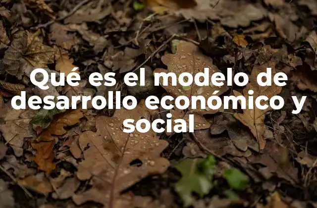 Qué es el Modelo de Desarrollo Económico y Social