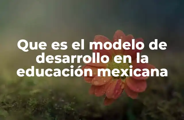 Que es el Modelo de Desarrollo en la Educación Mexicana