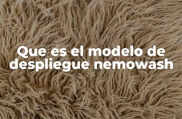 Que es el Modelo de Despliegue Nemowash