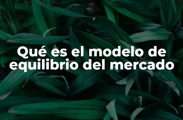 Qué es el Modelo de Equilibrio Del Mercado
