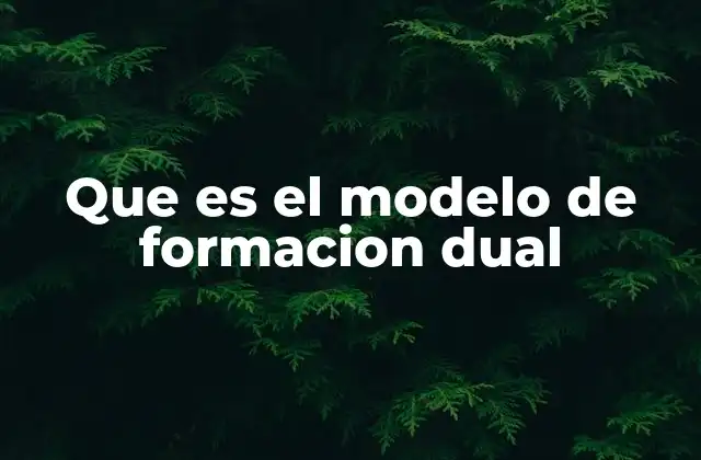 Que es el Modelo de Formacion Dual