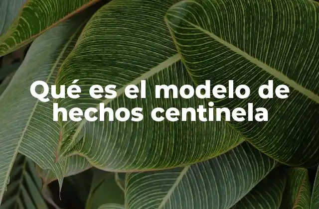 La importancia del diseño estructurado en almacenes de datos