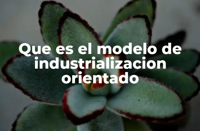 Que es el Modelo de Industrializacion Orientado 2 El papel del Estado en el desarrollo industrial