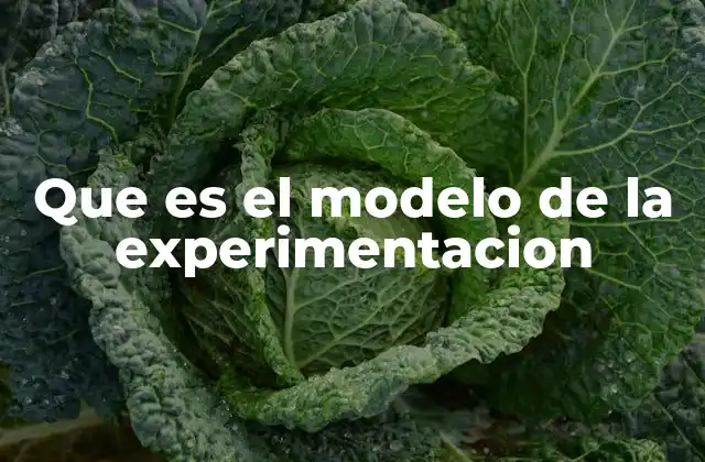 Que es el Modelo de la Experimentacion