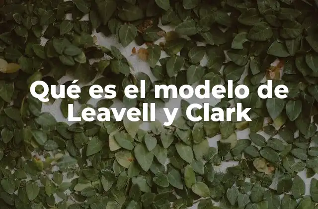Qué es el Modelo de Leavell y Clark