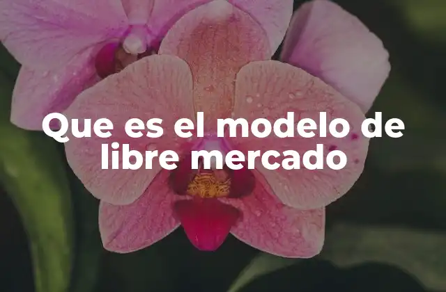 Características del sistema económico de libre mercado