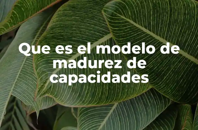 Que es el Modelo de Madurez de Capacidades