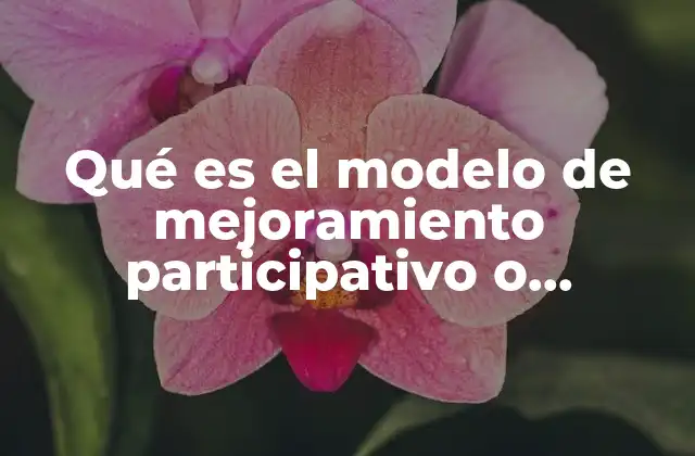 Qué es el Modelo de Mejoramiento Participativo o Descentralizado