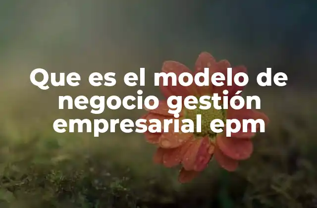 Que es el Modelo de Negocio Gestión Empresarial Epm
