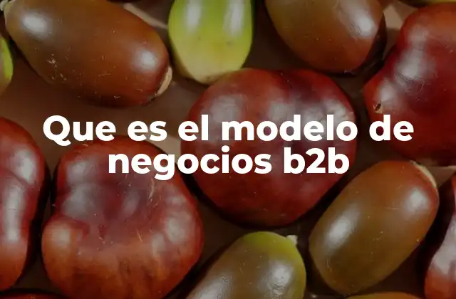 Que es el Modelo de Negocios B2b