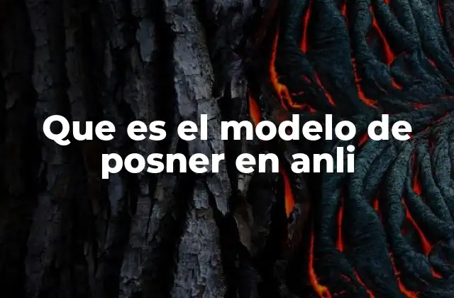 Que es el Modelo de Posner en Anli