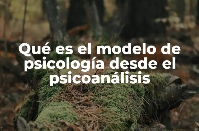 Qué es el Modelo de Psicología desde el Psicoanálisis