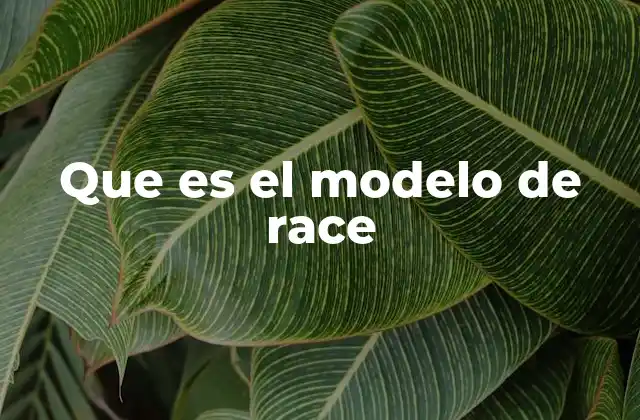 Que es el Modelo de Race