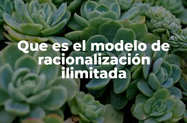 Que es el Modelo de Racionalización Ilimitada