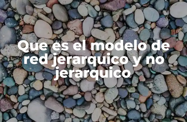 Que es el Modelo de Red Jerarquico y No Jerarquico 2 Características principales de los modelos de red