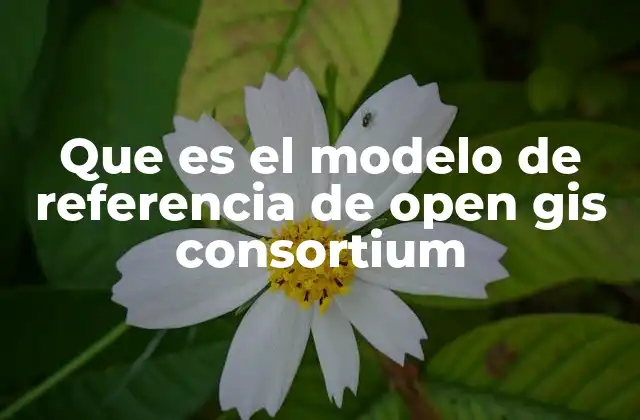 Que es el Modelo de Referencia de Open Gis Consortium
