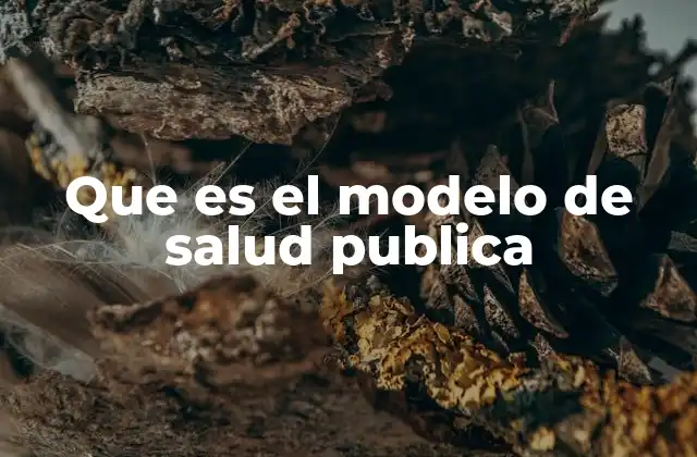 Que es el Modelo de Salud Publica