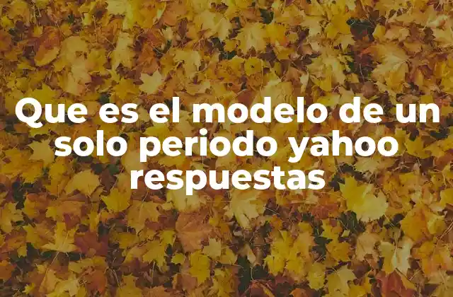 Que es el Modelo de un Solo Periodo Yahoo Respuestas