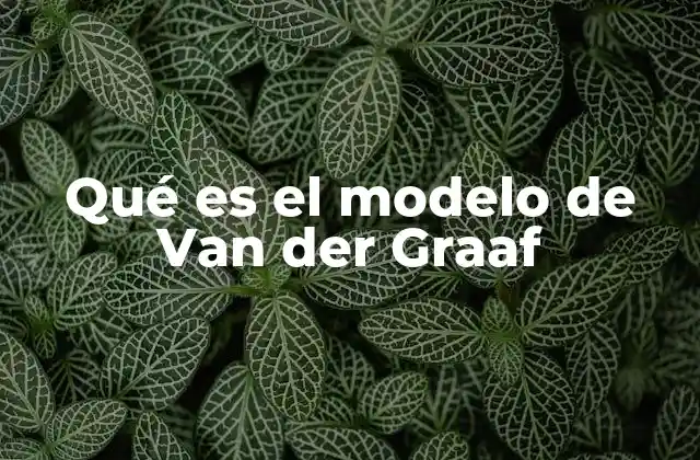Qué es el Modelo de Van Der Graaf