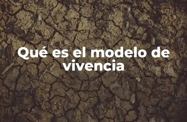 Qué es el Modelo de Vivencia
