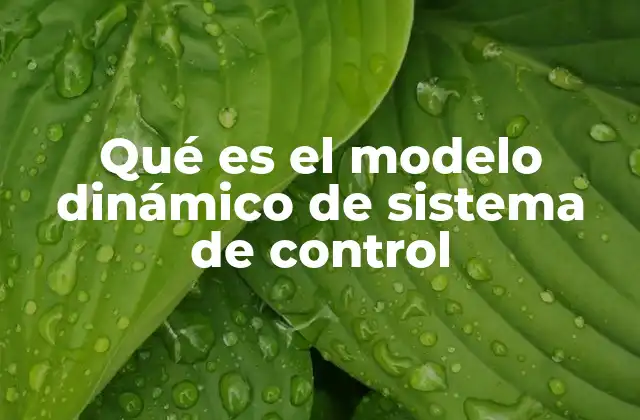 Qué es el Modelo Dinámico de Sistema de Control