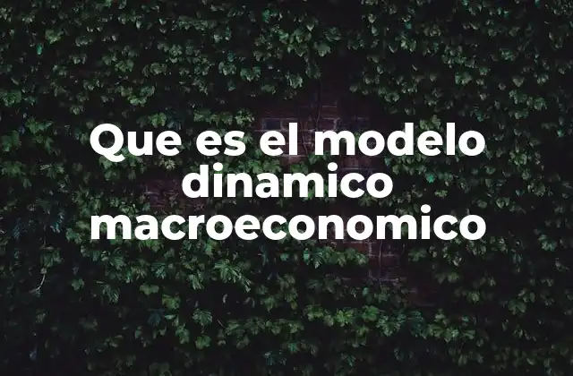 Que es el Modelo Dinamico Macroeconomico