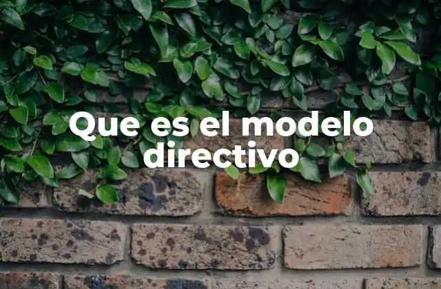 Que es el Modelo Directivo
